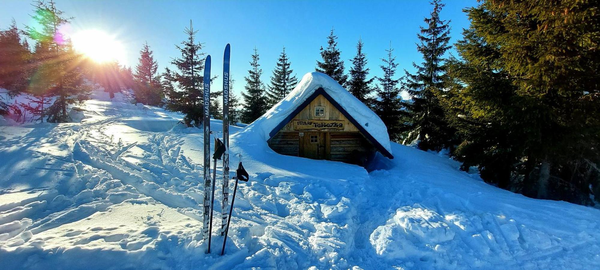 Tiny House Olivia Lägenhet Liptovský Hrádok Exteriör bild