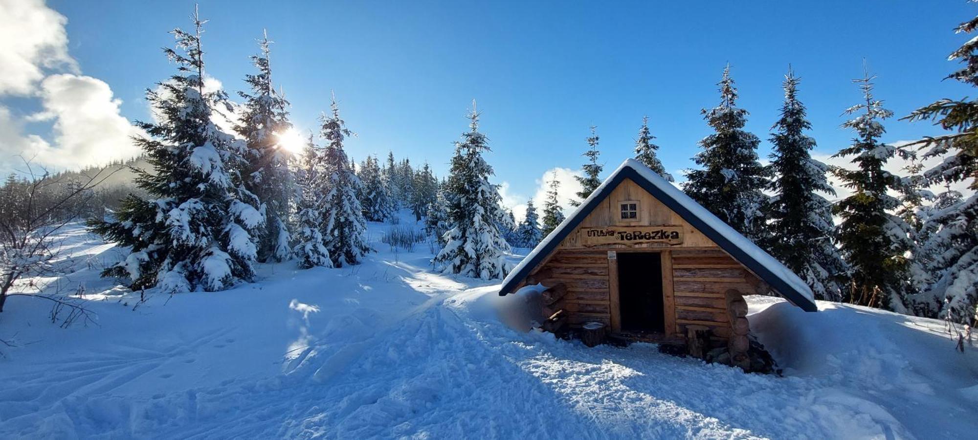 Tiny House Olivia Lägenhet Liptovský Hrádok Exteriör bild