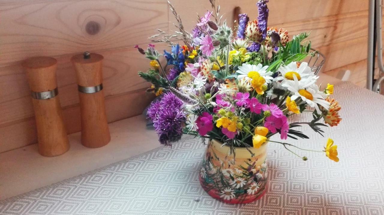 Tiny House Olivia Lägenhet Liptovský Hrádok Exteriör bild